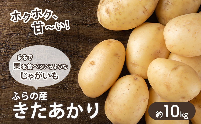 【2025年10月～発送】甘くてホクホク！じゃがいも きたあかり 【約10kg】 (スイートベジタブルファクトリー) 野菜 新鮮 直送 朝採り じゃがいも 芋 インカのめざめ いんか 道産 北海道 ふらの