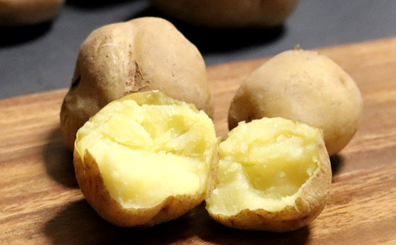 【2025年10月～発送】甘くてホクホク！じゃがいも きたあかり 【約10kg】 (スイートベジタブルファクトリー) 野菜 新鮮 直送 朝採り じゃがいも 芋 インカのめざめ いんか 道産 北海道 ふらの