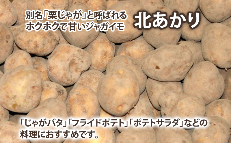 【2025年10月～発送】甘くてホクホク！じゃがいも きたあかり 【約10kg】 (スイートベジタブルファクトリー) 野菜 新鮮 直送 朝採り じゃがいも 芋 インカのめざめ いんか 道産 北海道 ふらの