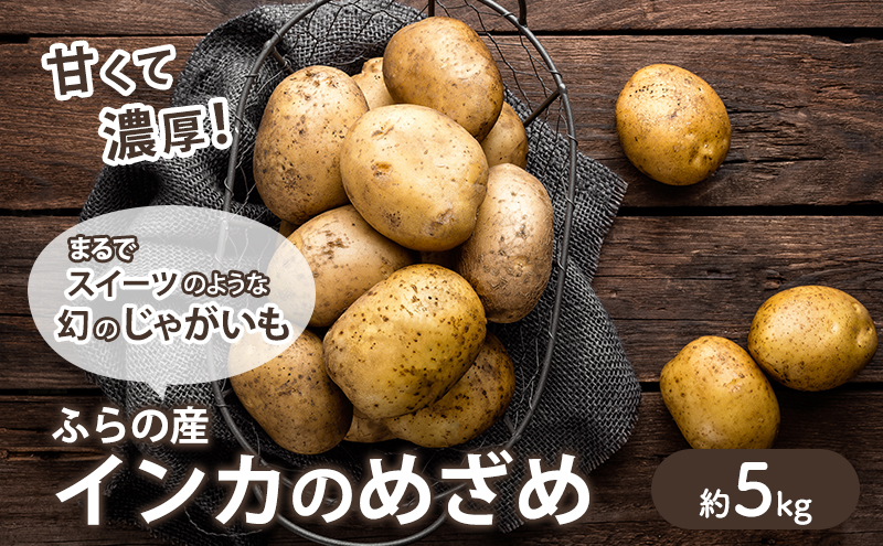 【2025年10月～発送】濃厚な甘さ！黄金のジャガイモ　インカの目覚め 【約5kg】 (スイートベジタブルファクトリー) 野菜 新鮮 直送 朝採り じゃがいも 芋 インカのめざめ いんか 道産 北海道