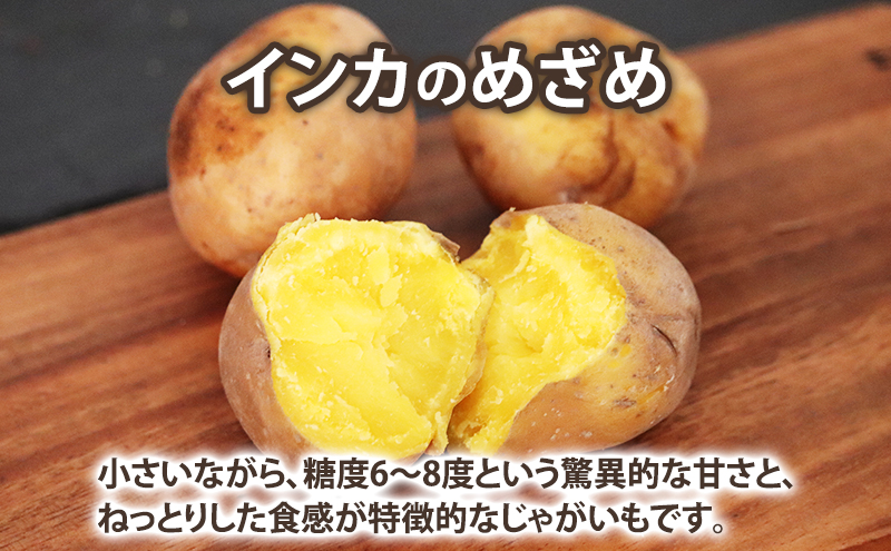 【2025年10月～発送】濃厚な甘さ！黄金のジャガイモ　インカの目覚め 【約5kg】 (スイートベジタブルファクトリー) 野菜 新鮮 直送 朝採り じゃがいも 芋 インカのめざめ いんか 道産 北海道