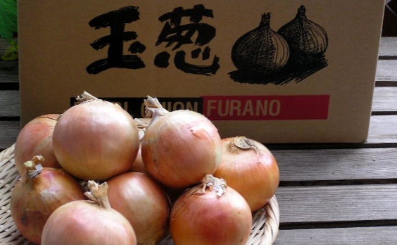 【2025年8月上旬より発送】北海道富良野産 たまねぎ 【約10kg】 (S～Lサイズ混合) (スイートベジタブルファクトリー) 野菜 新鮮 直送 朝採り たまねぎ 玉ねぎ 玉葱 人参 道産 北海道 ふらの