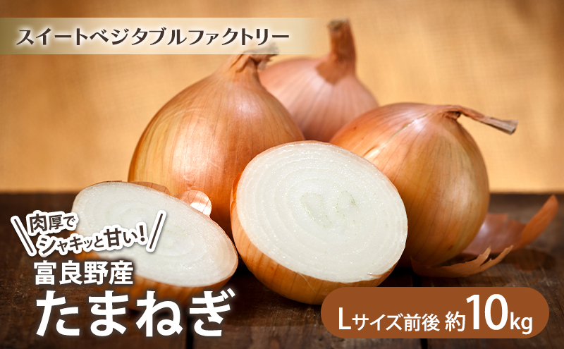 【2025年8月上旬より発送】北海道富良野産 たまねぎ 【約10kg】 (Lサイズ前後) (スイートベジタブルファクトリー) 野菜 新鮮 直送 朝採り たまねぎ 玉ねぎ 玉葱 人参 道産 北海道 ふらの