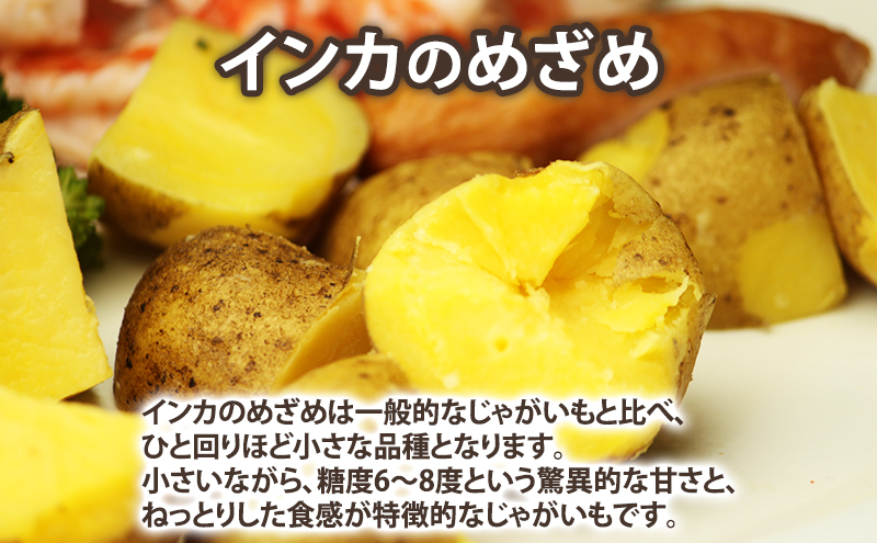 【2025年秋発送】じゃがいも 食べ比べセット 男爵3kg＋インカのめざめ2kg【約5kg】