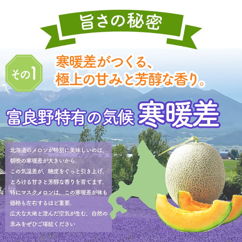 【2026年7月中旬～発送】北海道 富良野 メロン Lサイズ 1.3kg以上×1玉 (スイートベジタブルファクトリー) メロン フルーツ 果物 新鮮 甘い 贈り物 ギフト 道産 ジューシー おやつ ふらの ブランド 夏