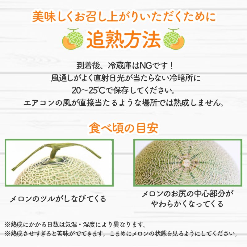 【2026年7月中旬～発送】北海道 富良野 メロン Lサイズ 1.3kg以上×1玉 (スイートベジタブルファクトリー) メロン フルーツ 果物 新鮮 甘い 贈り物 ギフト 道産 ジューシー おやつ ふらの ブランド 夏