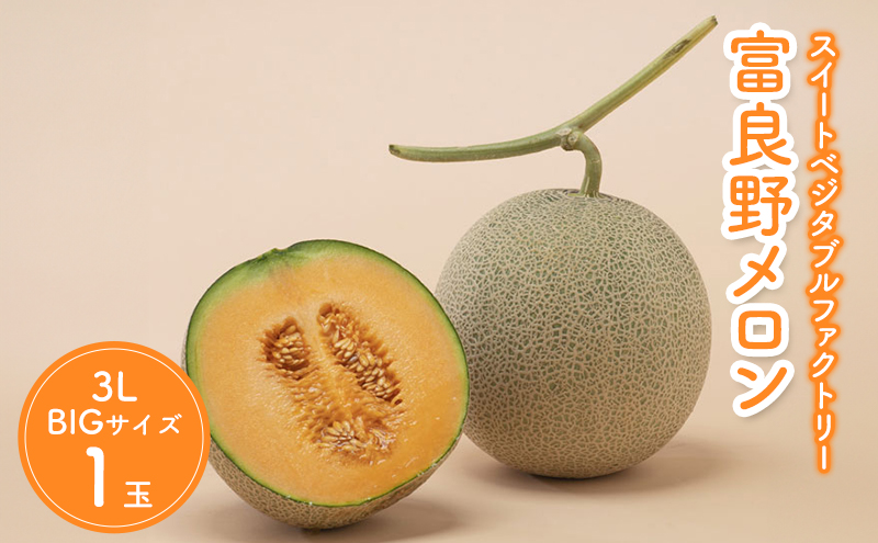 【2026年7月中旬～発送】北海道 富良野 メロン 3Lサイズ 約2kg×1玉 (スイートベジタブルファクトリー) メロン フルーツ 果物 新鮮 甘い 贈り物 ギフト 道産 ジューシー おやつ ふらの ブランド 夏
