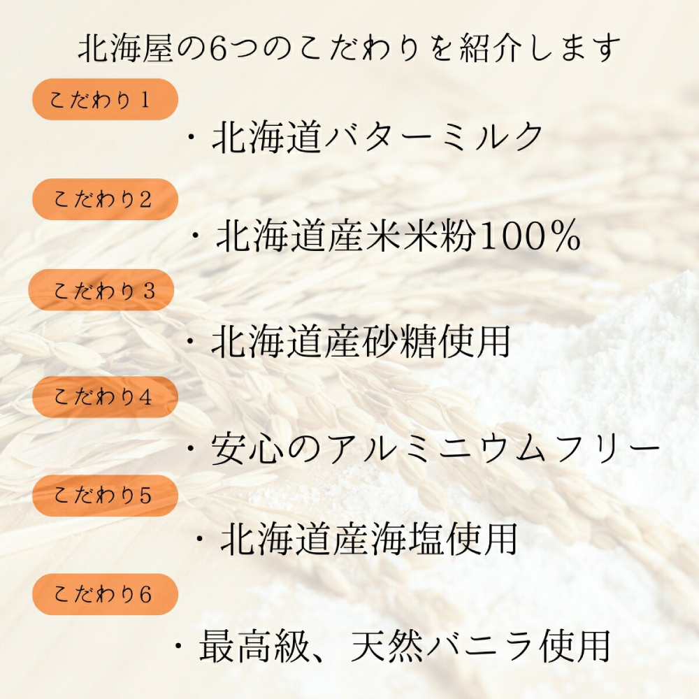 4-7 【年内配送12月15日入金まで】米粉のパンケーキミックス 5袋計850g プレーン within2025