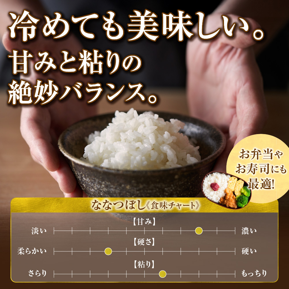 北海道石狩市のふるさと納税 【定期便】北海道産 ななつぼし 5kg 3回