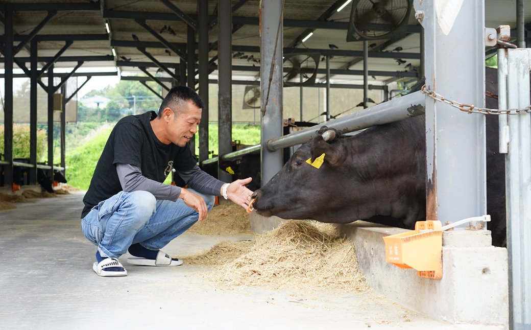 淡路椚座牛　赤身焼肉800ｇ【2026年1月より順次発送】　[黒毛和牛 冷蔵 焼肉セット]
