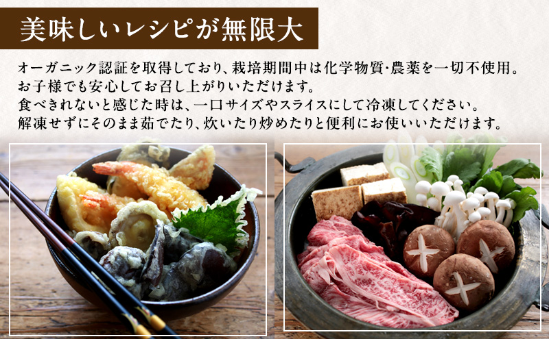 【 産地直送 】 有機JAS 生椎茸 800g ＆ 生きくらげ 200g 定期便 4ヶ月 オーガニック しいたけ 椎茸 きくらげ きのこ 野菜 岡山県 玉野市 栽培期間中化学肥料不使用 栽培期間中農薬不使用 野菜セット 