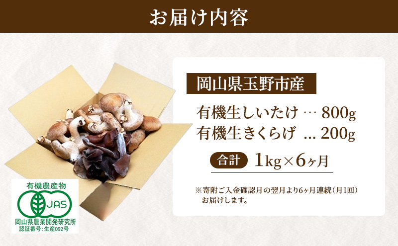 【 産地直送 】 有機JAS 生椎茸 800g ＆ 生きくらげ 200g 定期便 6ヶ月 オーガニック しいたけ 椎茸 きくらげ きのこ 野菜 岡山県 玉野市 栽培期間中化学肥料不使用 栽培期間中農薬不使用 野菜セット 