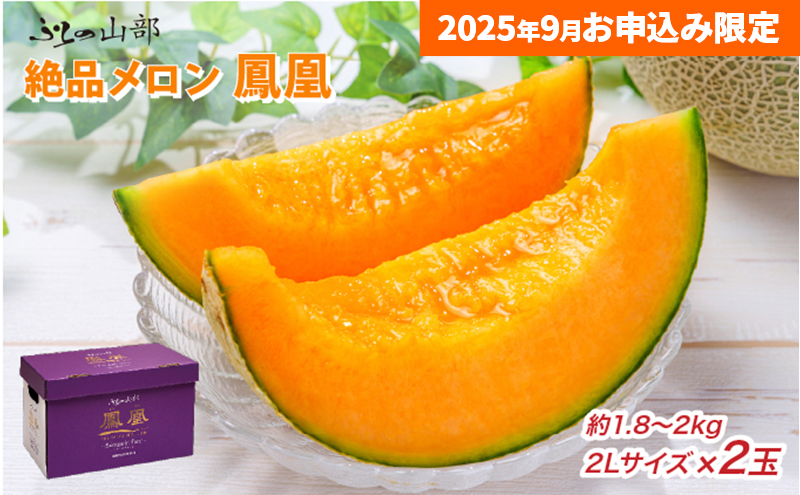 [セゾン限定]9月限定特別価格★ふらの山部の絶品メロン『鳳凰』 2L(1.8〜2kg)×2玉(坂口農産)メロン フルーツ 果物 新鮮 甘い 贈り物 ギフト 道産 ジューシー おやつ ふらの ブランド 夏