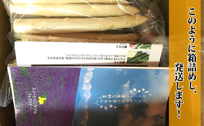 北海道富良野市のふるさと納税 【セゾン限定】2025年9月限定価格！[2026年5月中旬～発送]グリーン アスパラ・ホワイト アスパラ S～Lサイズ混合 1kg セット北海道 富良野市 (スイートベジタブルファクトリー) 野菜 新鮮 直送 朝採り アスパラガス 道産 北海道 ふらの