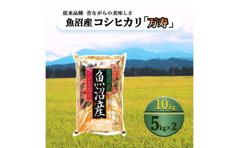 令和8年産 先行予約 【数量限定】 従来品種 魚沼産コシヒカリ 5kg×2