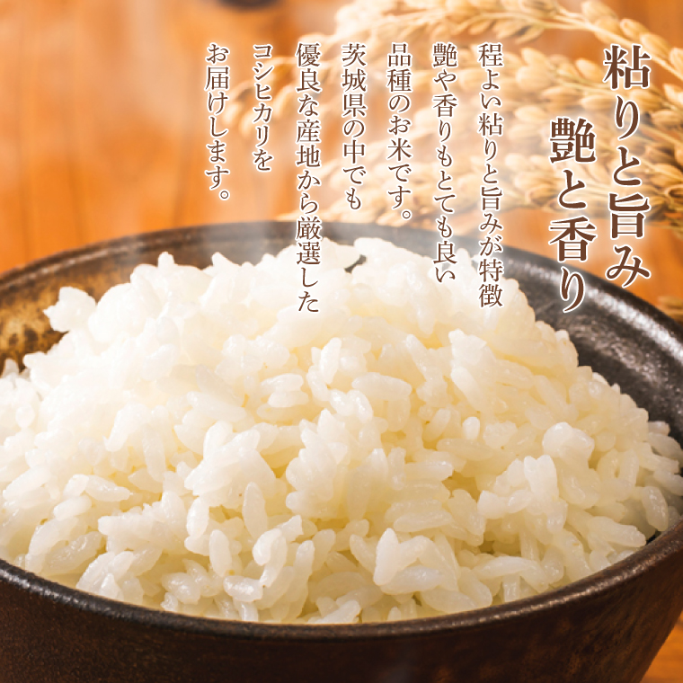 【3ヶ月定期便】★1等米★ コシヒカリ 5kg (総計 15kg)【令和6年産】米 精米 白米 こしひかり 定期便 茨城県 鹿嶋市 国産 送料無料 お米 ごはん おにぎり 冷めても 美味しい 粘り うまみ 厳選 出荷直前精米 ツヤ かおり うまい（KY-20）