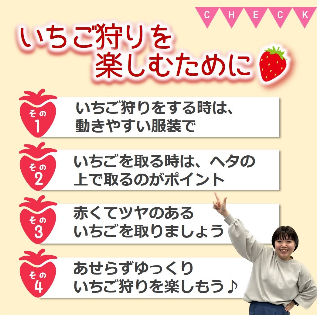 いちご畑maccaで使えるいちご狩りチケット （小学生以上１名）【利用期間：令和８年２月上旬～】10-110