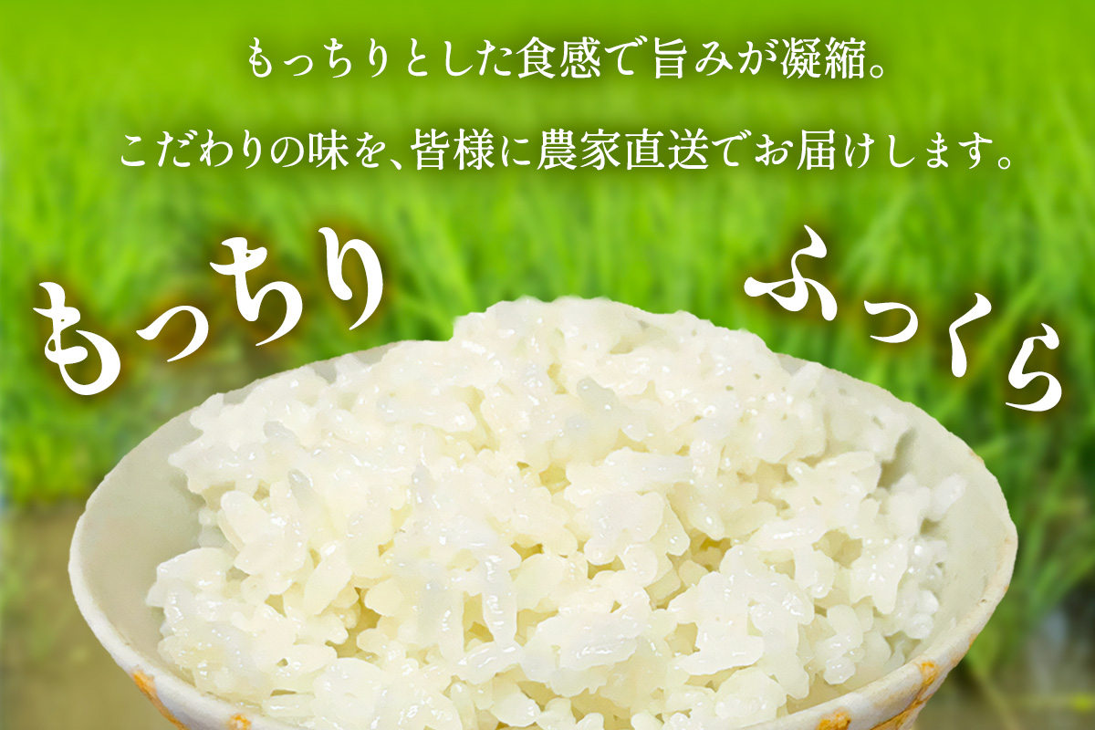 神奈川県伊勢原市のふるさと納税 新米 [令和7年産] 伊勢原産 精米10kg(5kg×2袋) はるみ 農家直送！加藤さんちのうんめぇ！自家製米｜先行予約 お米 おこめ コメ 白米 神奈川 伊勢原 ブランド米 [0524]
