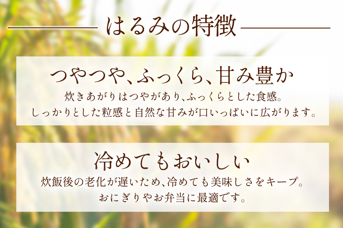 神奈川県伊勢原市のふるさと納税 新米 [令和7年産] 伊勢原産 精米10kg(5kg×2袋) はるみ 農家直送！加藤さんちのうんめぇ！自家製米｜先行予約 お米 おこめ コメ 白米 神奈川 伊勢原 ブランド米 [0524]