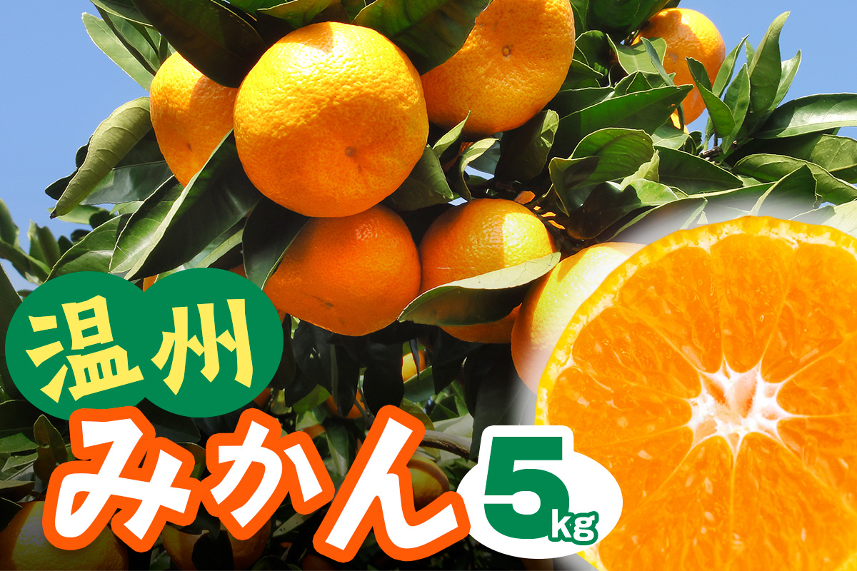 [2025年12月下旬頃から発送] 温州み