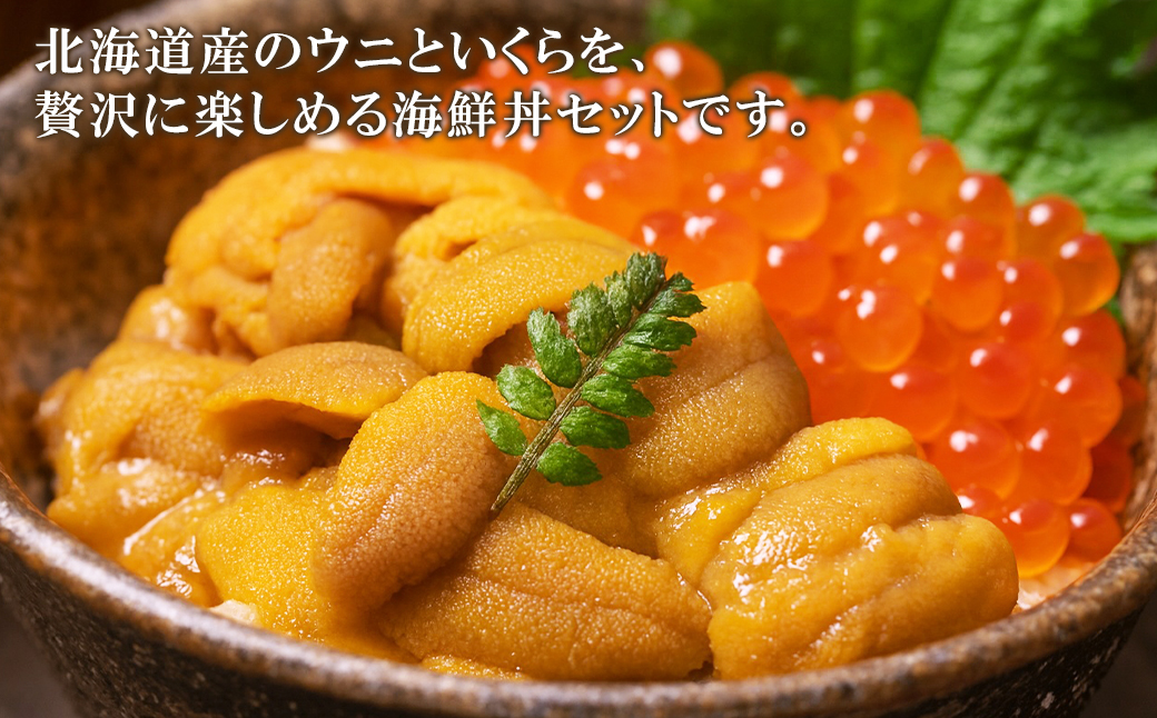 【北海道産】うにいくらセット ふり塩うに100g いくら醤油漬け100g キタムラサキウニ 鮭いくら うにいくら丼 おうちで海鮮丼セット