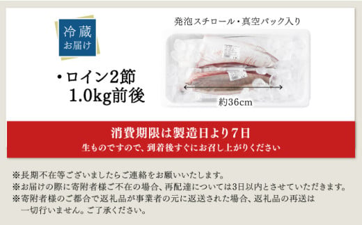 宮崎県串間市のふるさと納税 KU281-2511 ＜2025年11月発送分＞活じめ！黒瀬ぶりの生鮮ブリロイン2節（1kg前後）