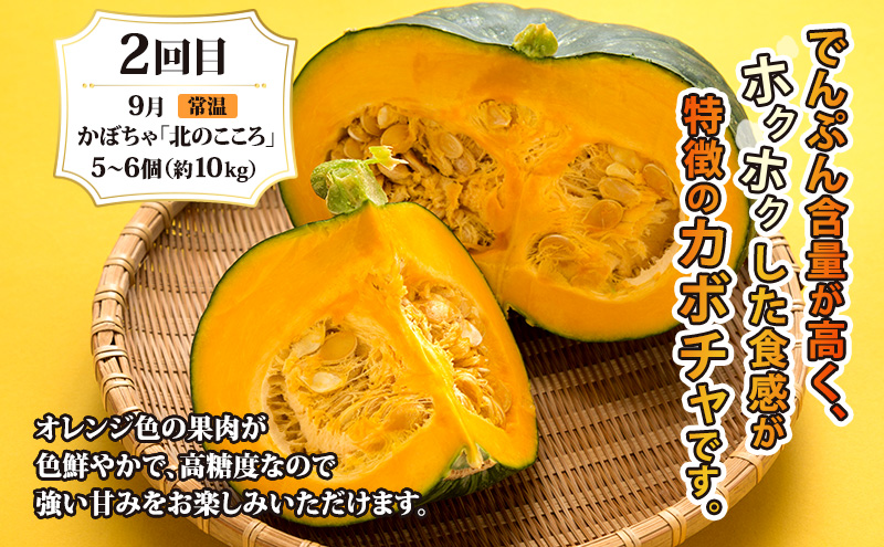 月形町 人気の厳選 定期便 3回お届け メロン 赤肉 スイカ かぼちゃ 南瓜 果物 フルーツ 野菜 旬 季節 送料無料