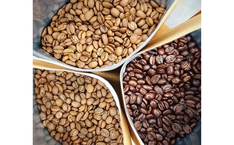 コーヒー 〈スペシャルティコーヒー飲み比べ〉コーヒー豆100g×2種（中煎＆深煎）豆or粉 食品 お菓子 モンキーポッド 豆 粉 コーヒー豆 珈琲 墨田区 東京都