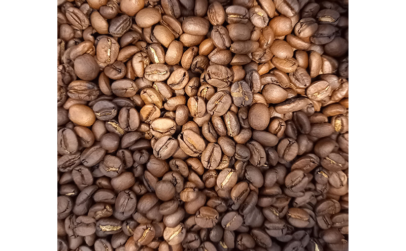 コーヒー 〈スペシャルティコーヒー飲み比べ〉コーヒー豆100g×2種（中煎＆深煎）豆or粉 食品 お菓子 モンキーポッド 豆 粉 コーヒー豆 珈琲 墨田区 東京都