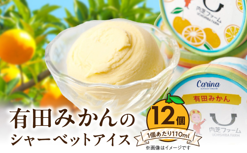 アイス 送料無料 藤田アイス店 アイスセット （リンゴ味 イチゴ味 コーン