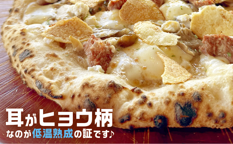 フンギチェルボ 冷凍 ピザ イタリアン ピッツァ チーズ 加工品 食品 手作り 真空パック PIZZA pizza パーティー クリスマス ギフト プレゼント お取り寄せ 倶知安町 北海道