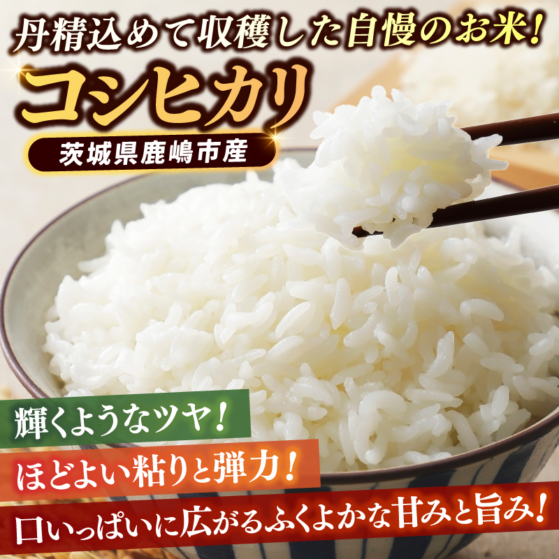 【6ヶ月定期便】★新米 令和7年★ 米 精米 白米 5kg (総計 30kg)「こしひかり」先行予約 鹿嶋市産【令和7年産 コシヒカリ お米 コメ ごはん ライス ブランド米 茨城県 鹿嶋市】(KEJ-5)