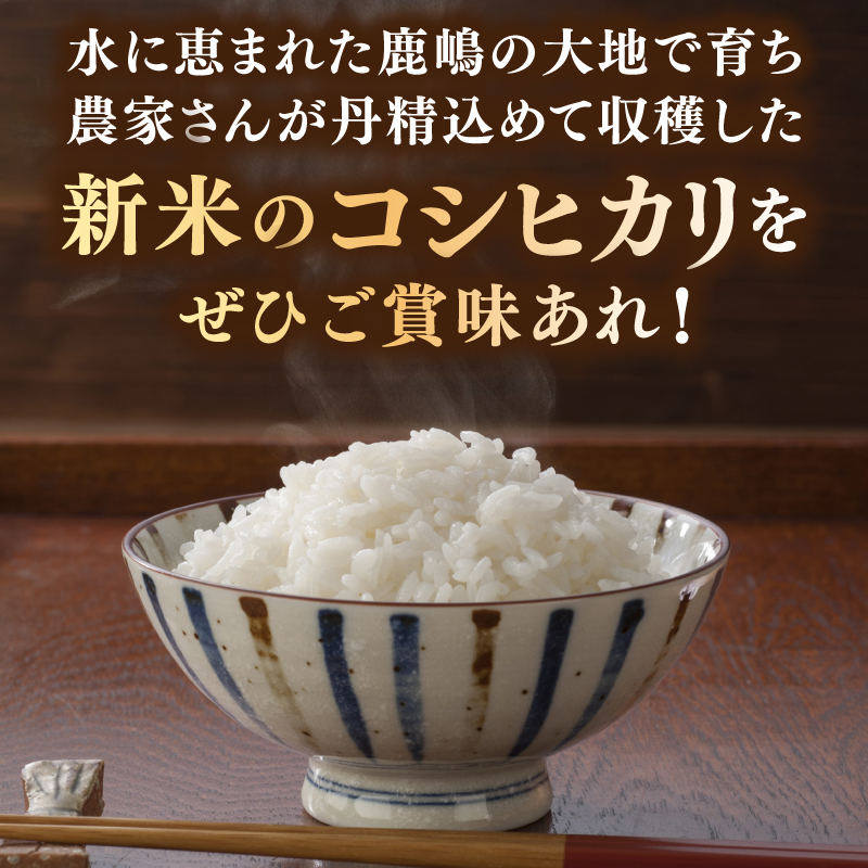 【6ヶ月定期便】★新米 令和7年★ 米 精米 白米 5kg (総計 30kg)「こしひかり」先行予約 鹿嶋市産【令和7年産 コシヒカリ お米 コメ ごはん ライス ブランド米 茨城県 鹿嶋市】(KEJ-5)