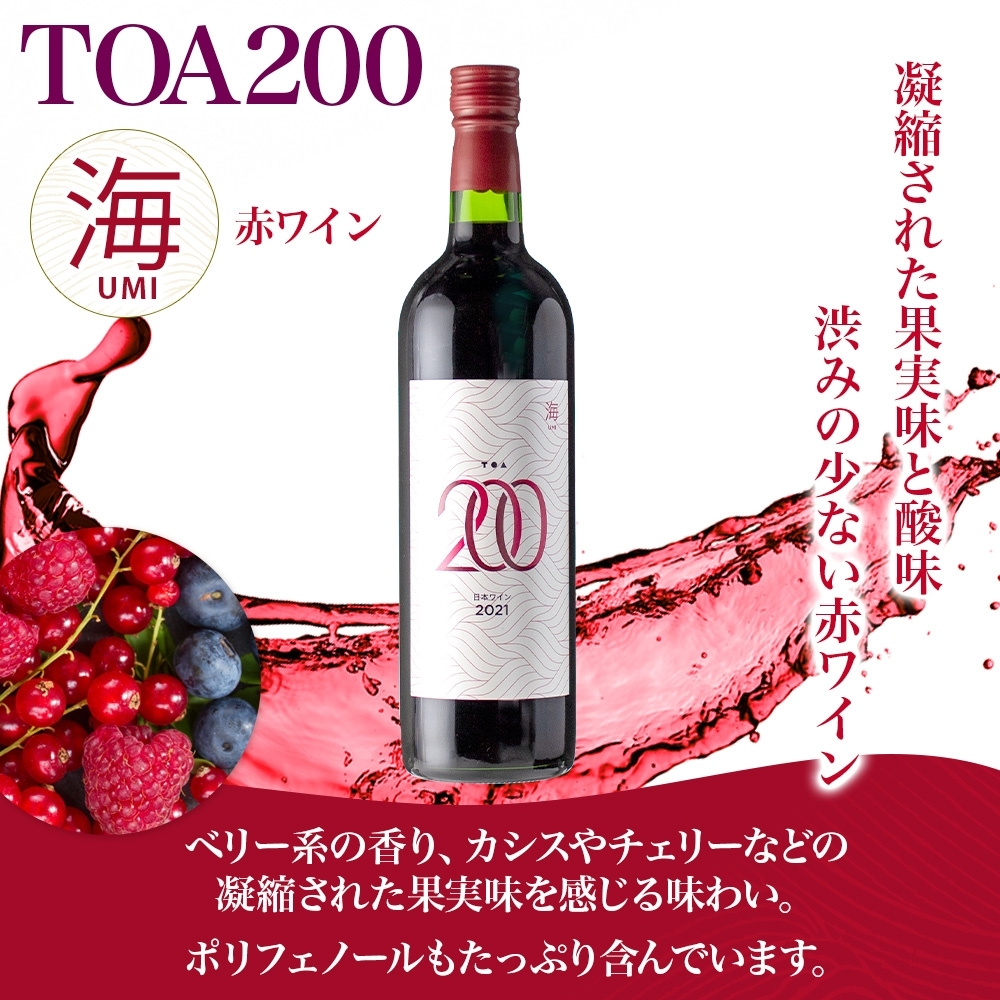 KG1011_赤ワイン TOA200 海 12度 720ml 果実酒 葡萄酒 ぶどう フルーティ 湯浅ワイナリー
