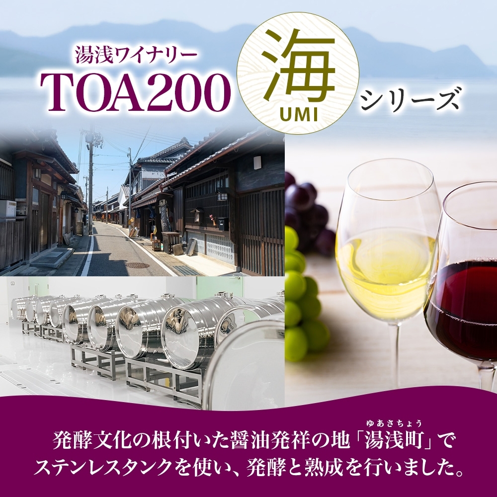 KG1011_赤ワイン TOA200 海 12度 720ml 果実酒 葡萄酒 ぶどう フルーティ 湯浅ワイナリー