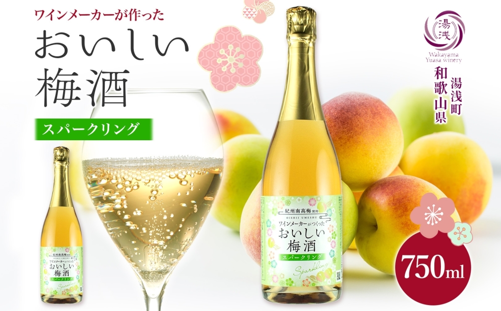 KG1015_ワインメーカーが作ったおいしい梅酒 スパークリング 紀州南高梅 使用 750ml 湯浅ワイナリー