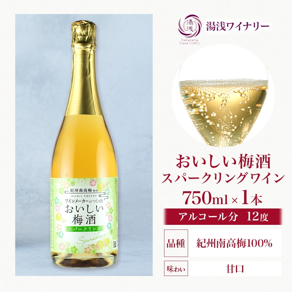 KG1015_ワインメーカーが作ったおいしい梅酒 スパークリング 紀州南高梅 使用 750ml 湯浅ワイナリー