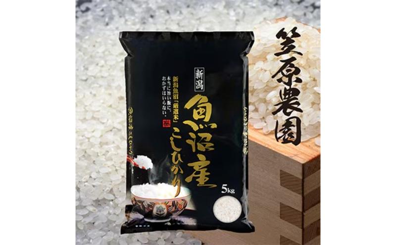 [新米]令和7年産 魚沼産コシヒカリ 5kg | 米 コメこしひかり 精米 ブランド米 お取り寄せ 十日町市
