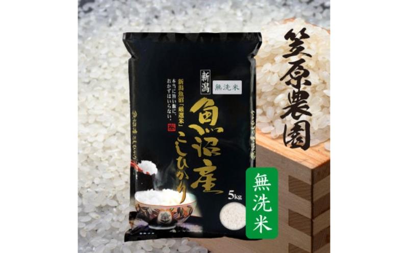 [新米]令和7年産 魚沼産コシヒカリ 無洗米 5kg | 米 コメこしひかり 精米 ブランド米 お取り寄せ 十日町市