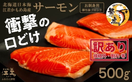 [年内配送受付12/23まで][訳あり]北海道産 サーモン お刺身用ブロック 500g(約5〜7パック前後) 日本海 かもめ島海面養殖 純国産 ブランドサーモン『江さしっ子 繁虎』 衝撃の口どけ とろける脂 生食可 冷凍 小分け 個包装 トラウトサーモン 刺身 サーモンステーキ カルパッチョ 海鮮 鮭 さけ シャケ しゃけ さーもん 切り落とし 規格外