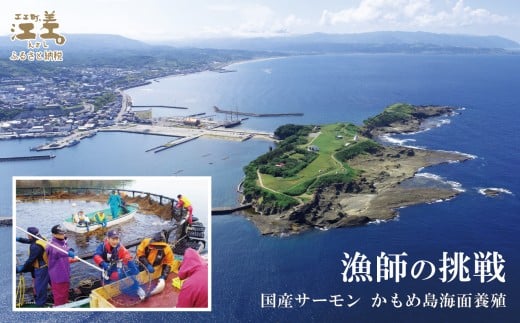 北海道江差町のふるさと納税 ＼配送時期指定可／【訳あり】北海道産 サーモン お刺身用ブロック 500g（約5～7パック前後）　日本海 かもめ島海面養殖　純国産 ブランドサーモン『江さしっ子 繁虎』　衝撃の口どけ　とろける脂　生食可　冷凍　小分け　個包装　トラウトサーモン　刺身　サーモンステーキ　カルパッチョ　海鮮　鮭　さけ　シャケ　しゃけ　さーもん