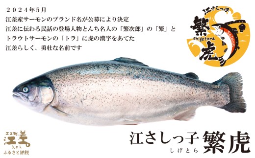 北海道江差町のふるさと納税 【完売御礼】【訳あり】北海道産 サーモン お刺身用ブロック 1kg（約10～14パック前後）　日本海 かもめ島海面養殖　純国産 ブランドサーモン『江さしっ子 繁虎』　衝撃の口どけ　とろける脂　生食可　冷凍　小分け　個包装　トラウトサーモン　刺身　サーモンステーキ　カルパッチョ　海鮮　鮭　さけ　シャケ　しゃけ　さーもん　切り落とし　規格外