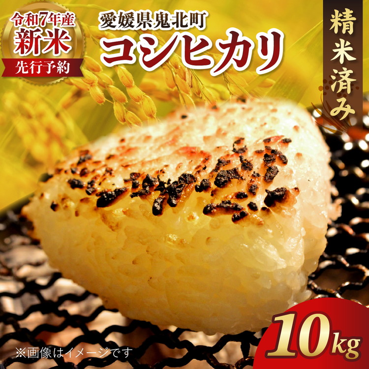 【R7年産新米】愛媛県産 コシヒカリ 10