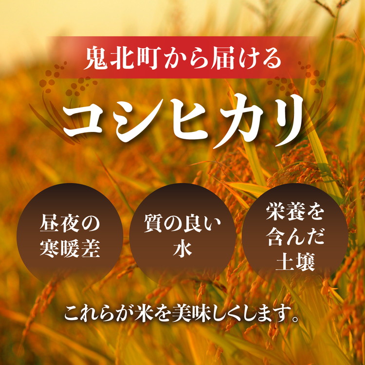 愛媛県鬼北町のふるさと納税 【R7年産新米】愛媛県産 コシヒカリ 10kg ｜ ご飯 白米 お米 令和7年産 5kg 10kg 20kg 精米済み ※2025年10月上旬～12月下旬頃に順次発送予定 ※離島への配送不可