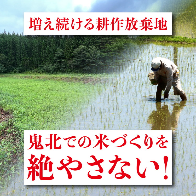愛媛県鬼北町のふるさと納税 【R7年産新米】愛媛県産 コシヒカリ 10kg ｜ ご飯 白米 お米 令和7年産 5kg 10kg 20kg 精米済み ※2025年10月上旬～12月下旬頃に順次発送予定 ※離島への配送不可