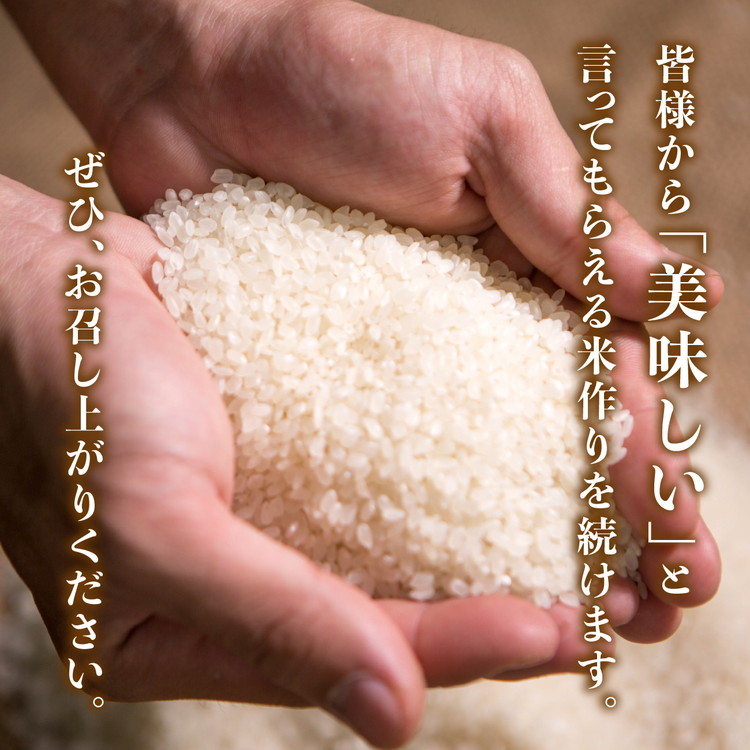 愛媛県鬼北町のふるさと納税 【R7年産新米】愛媛県産 コシヒカリ 10kg ｜ ご飯 白米 お米 令和7年産 5kg 10kg 20kg 精米済み ※2025年10月上旬～12月下旬頃に順次発送予定 ※離島への配送不可