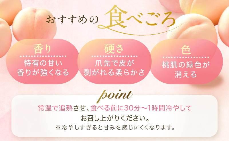 桃 2026年 先行予約 岡山 白桃 ロイヤル  約1kg 4～6玉 JAおかやまのもも（早生種・中生種） もも モモ 岡山県産 国産 フルーツ 果物 ギフト 