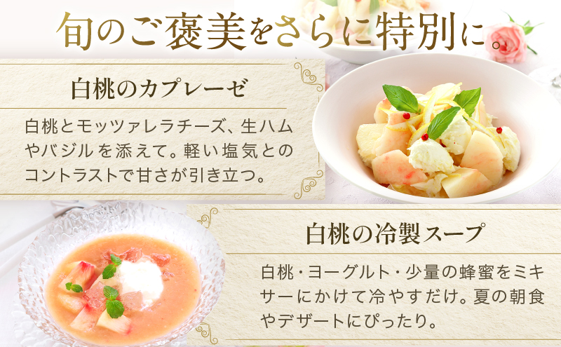 桃 2026年 先行予約 岡山 白桃 ロイヤル  約1kg 4～6玉 JAおかやまのもも（早生種・中生種） もも モモ 岡山県産 国産 フルーツ 果物 ギフト 