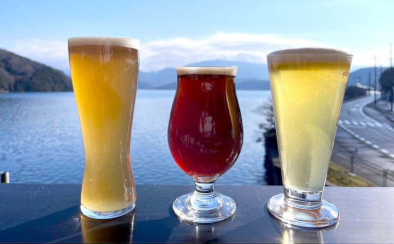 湖上館パムコ共通利用券【宿泊・アクティビティ・その他】 福井県 若狭町