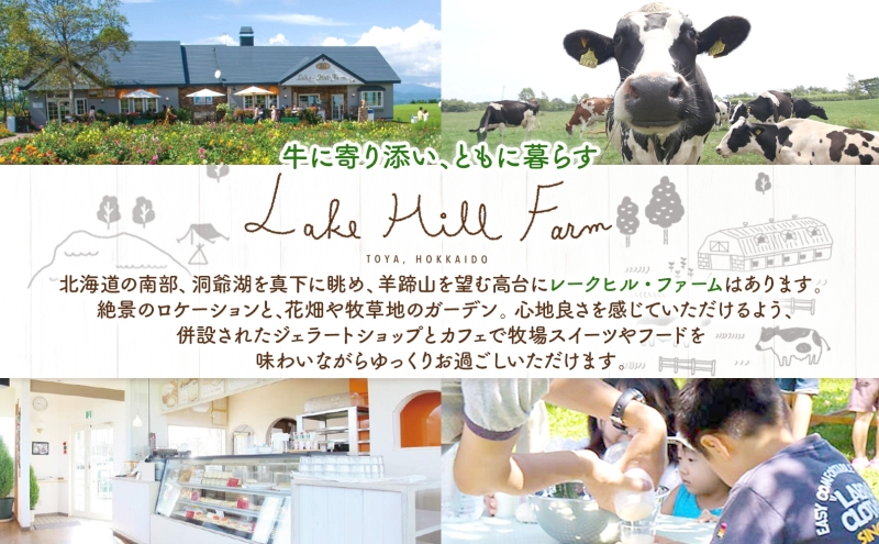 無地熨斗 オリジナルフィナンシェギフト 8個入り フィナンシェ 焼菓子 焼き菓子 お菓子 デザート おやつ スイーツ クルミ くるみ くるみフィナンシェ ブルーベリー ブルーベリーフィナンシェ お取り寄せ 送料無料 北海道 洞爺湖町